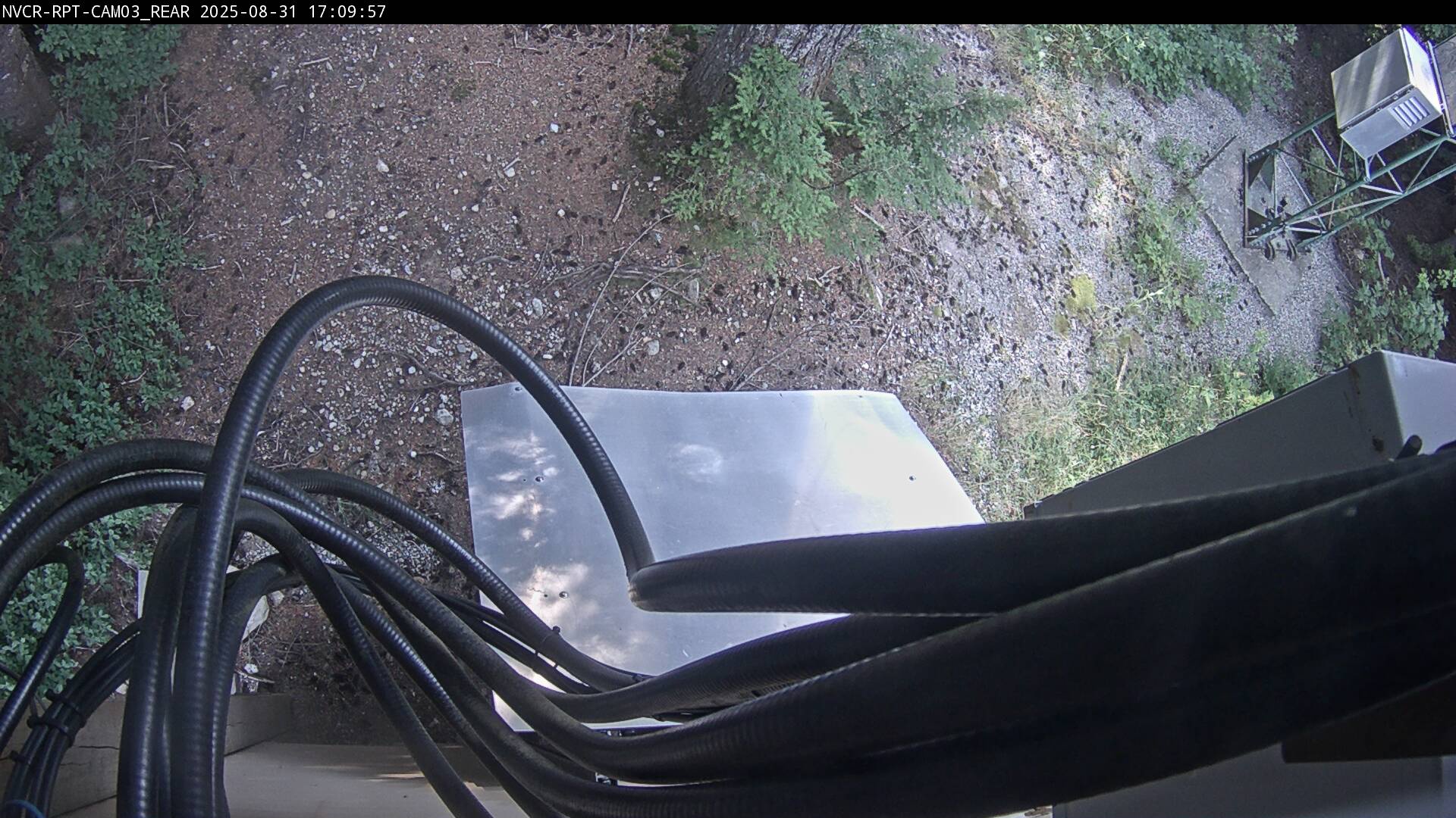 Web Cam History Image - 41
