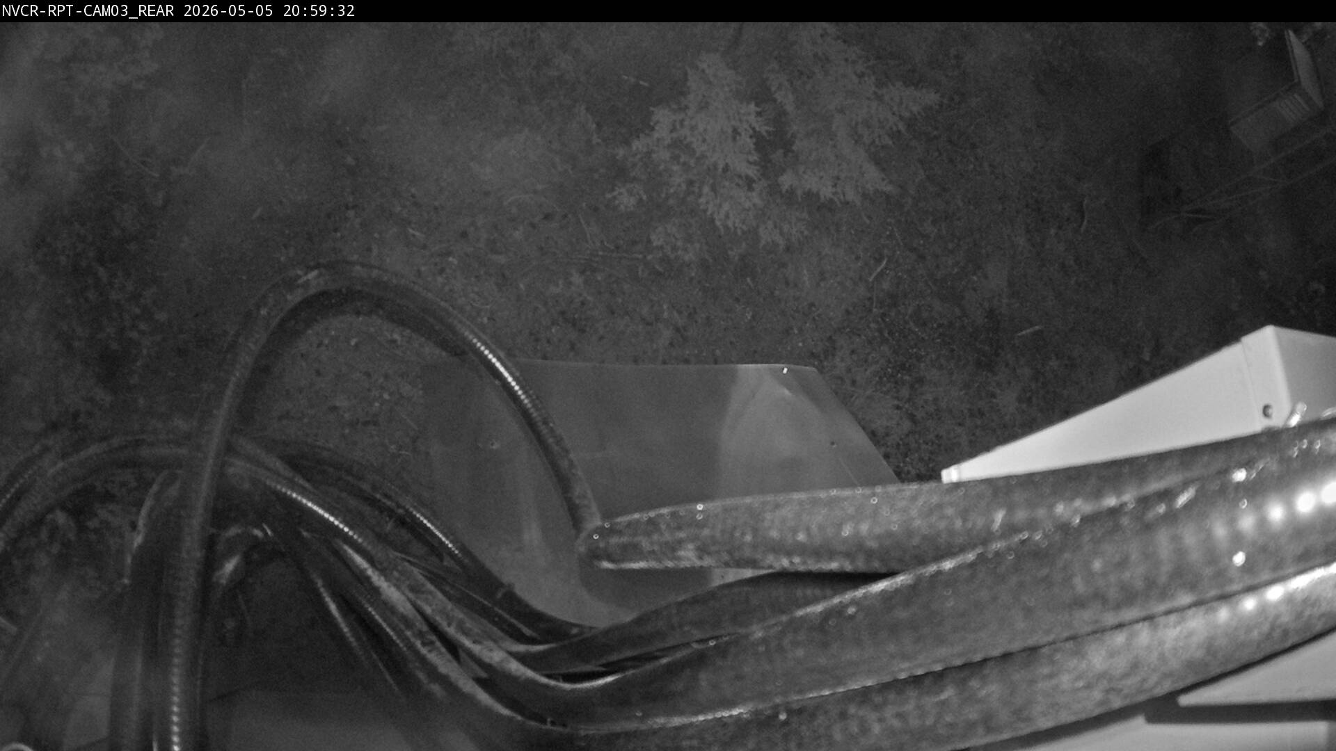 Web Cam History Image - 41