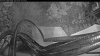 Web Cam Image - Wed, 08/05/2026 8:04pm PDT