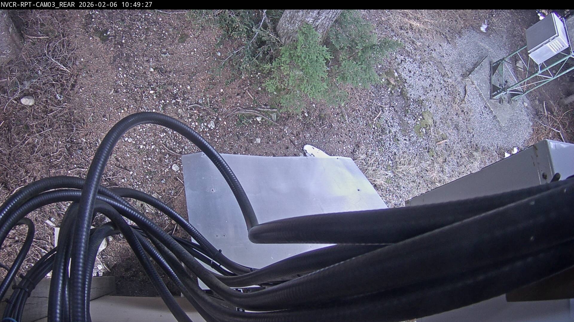 Web Cam History Image - 42