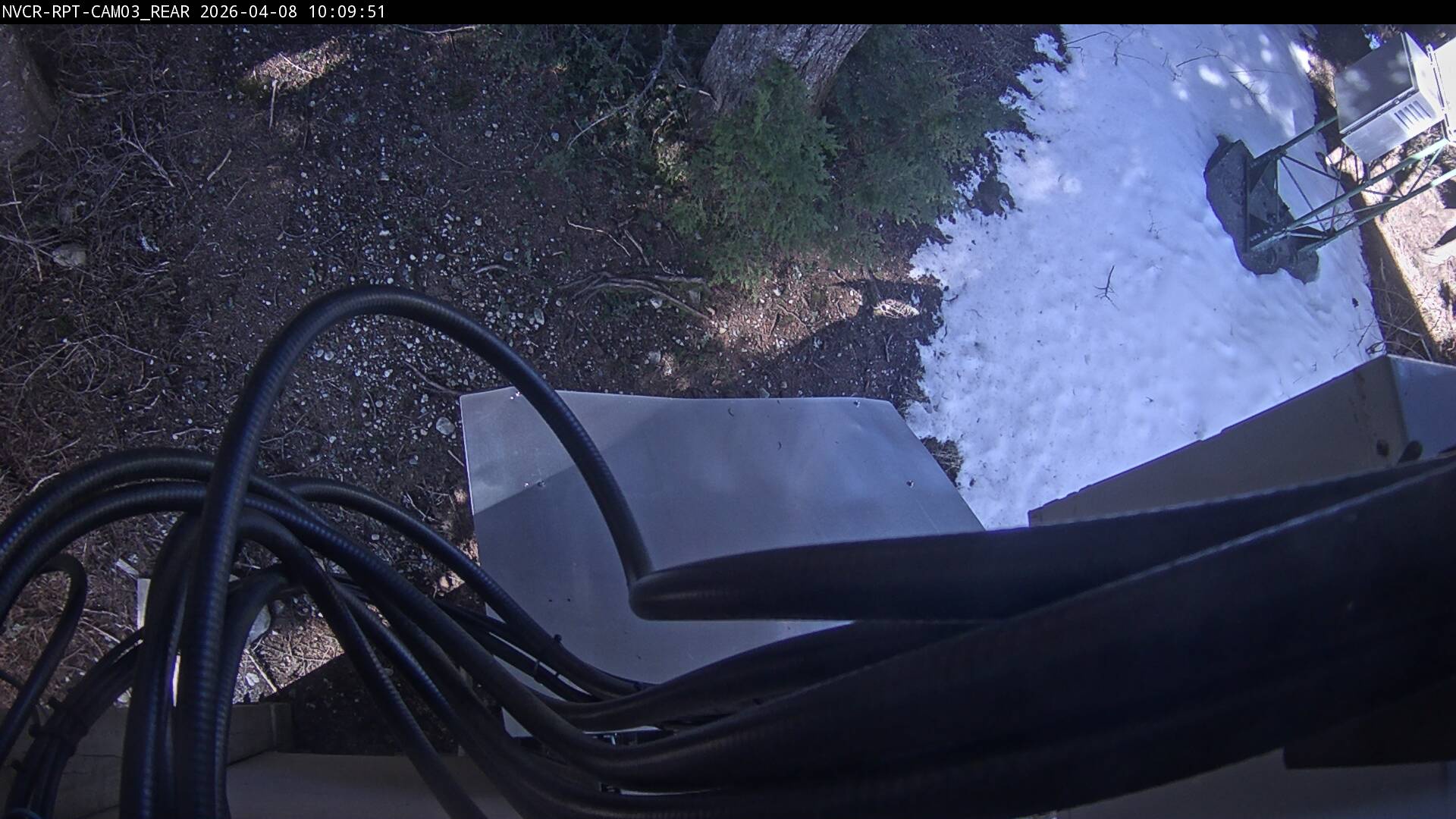 Web Cam History Image - 42