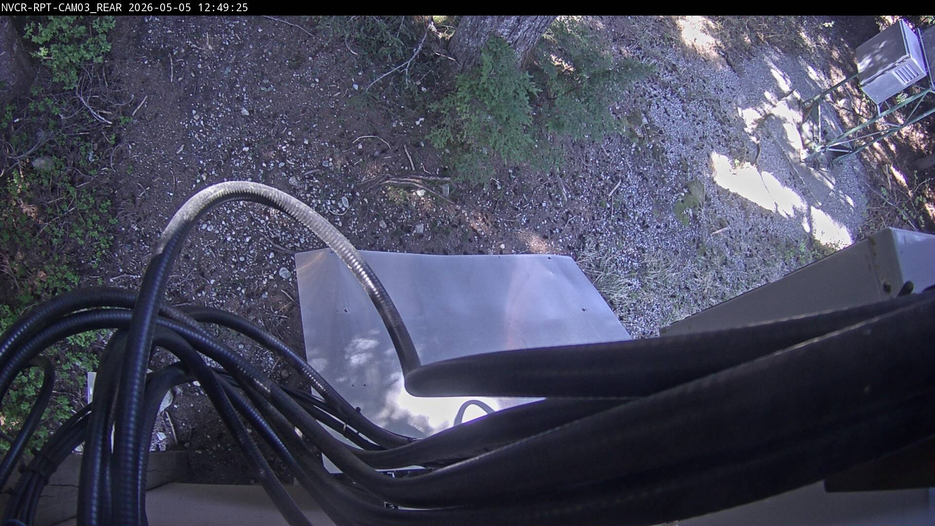 Web Cam History Image - 411