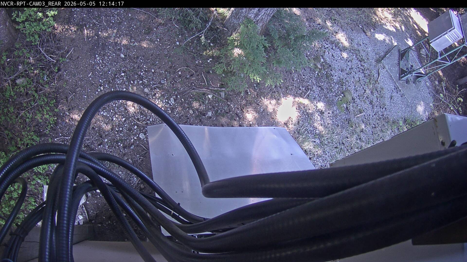 Web Cam History Image - 419