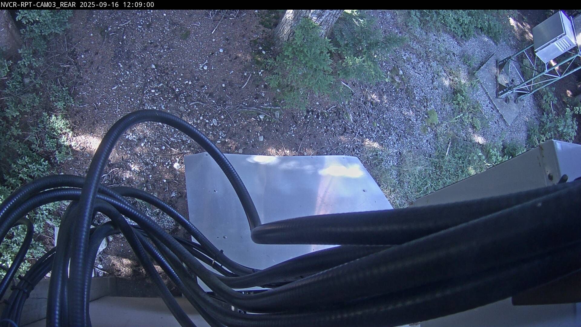Web Cam History Image - 43