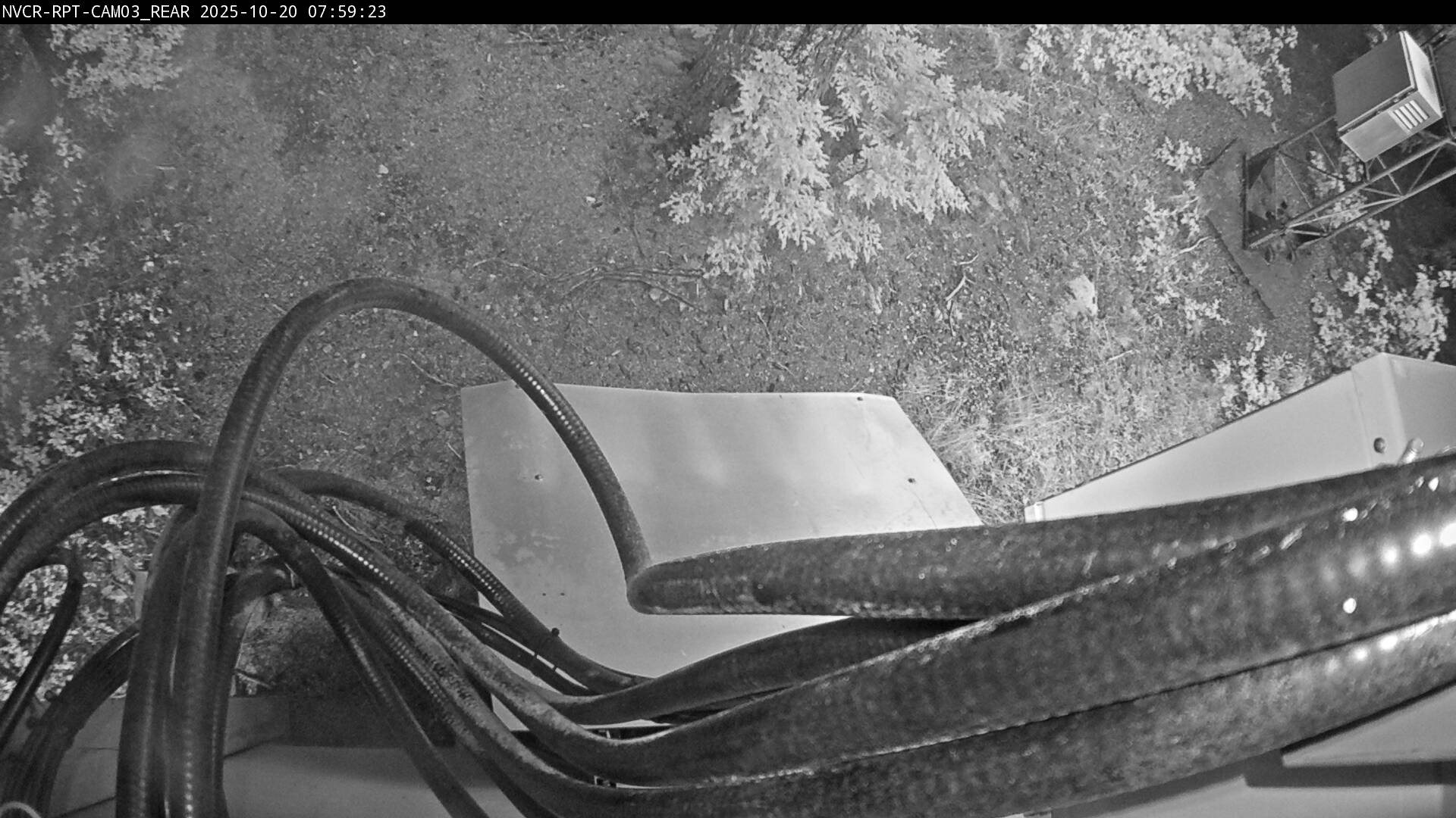 Web Cam History Image - 43