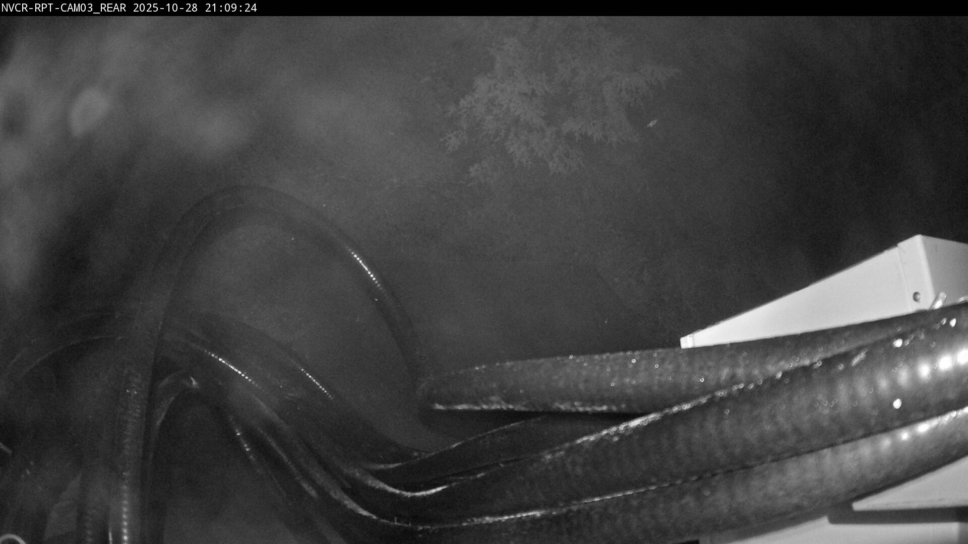 Web Cam History Image - 425