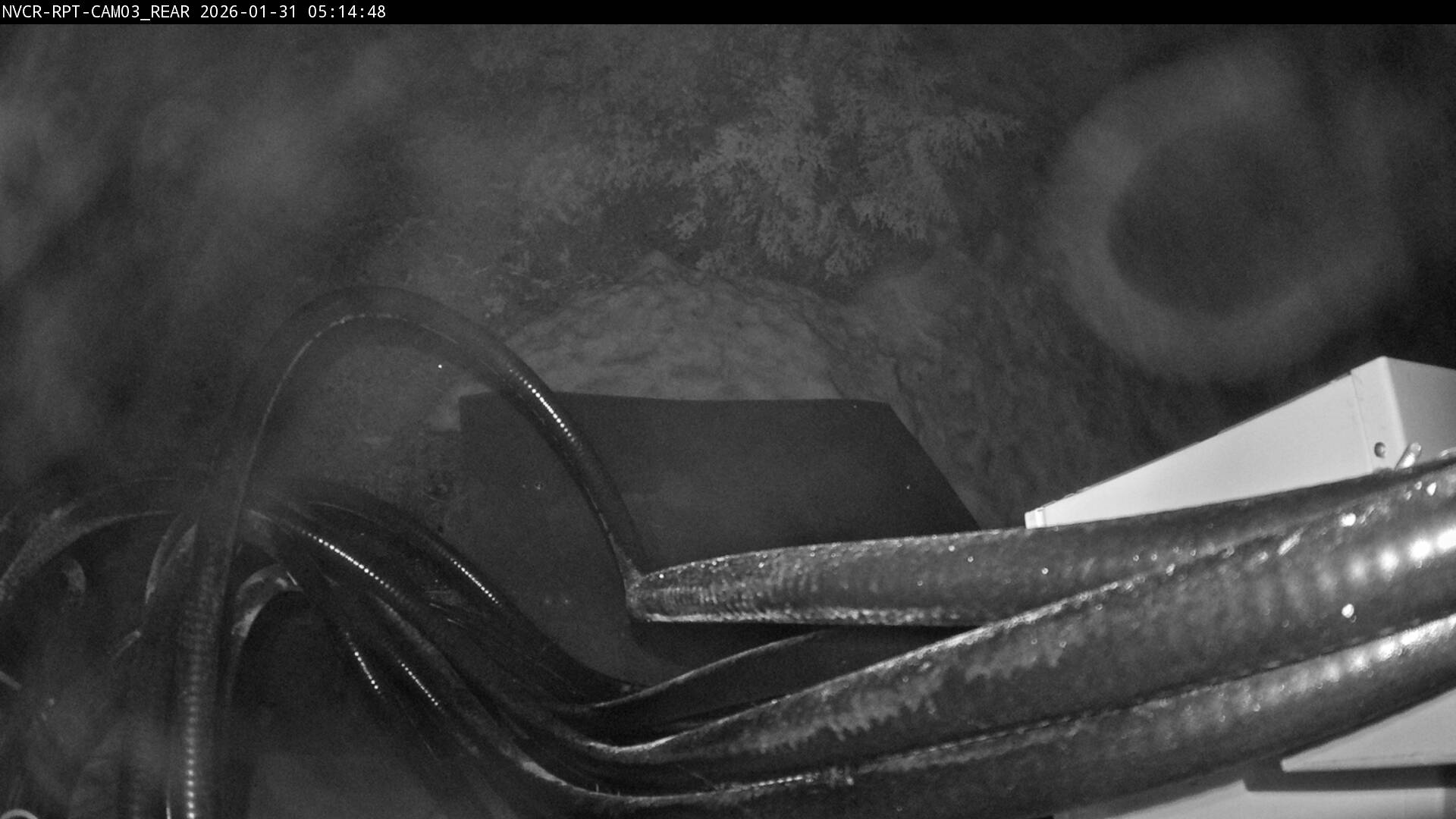 Web Cam History Image - 425