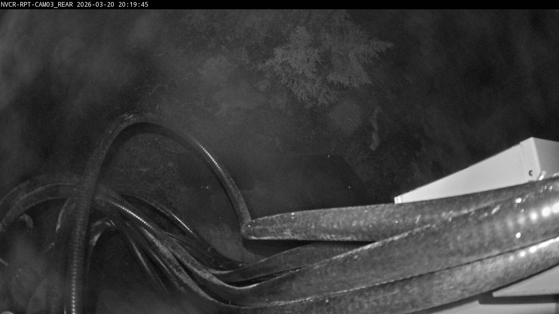 Web Cam History Image - 428