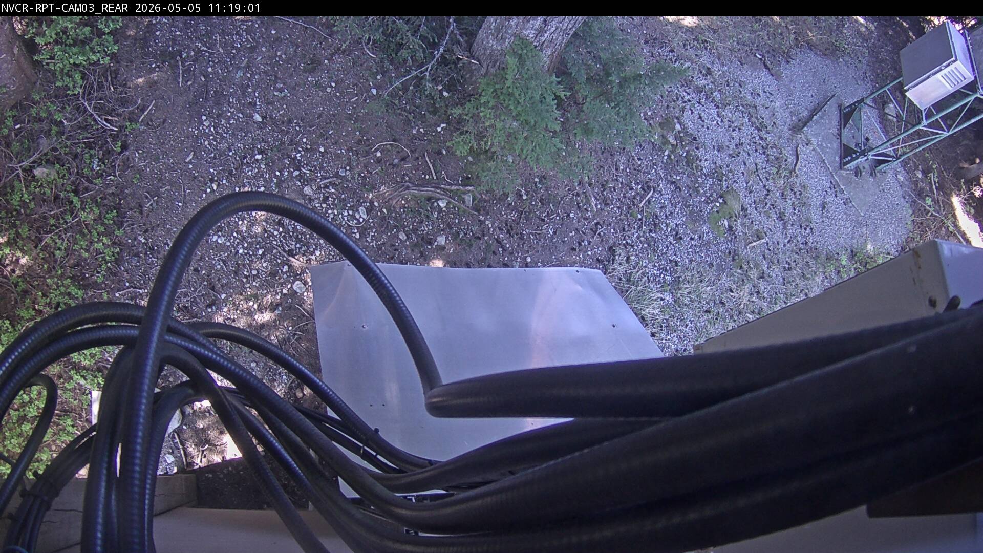 Web Cam History Image - 429