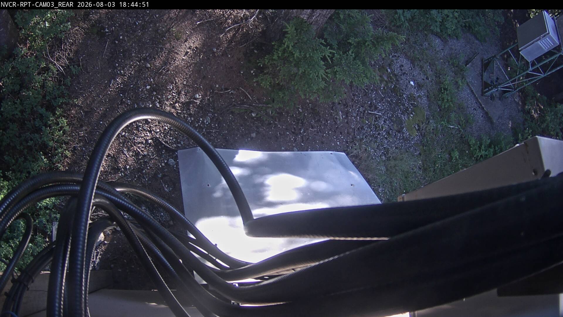 Web Cam History Image - 429