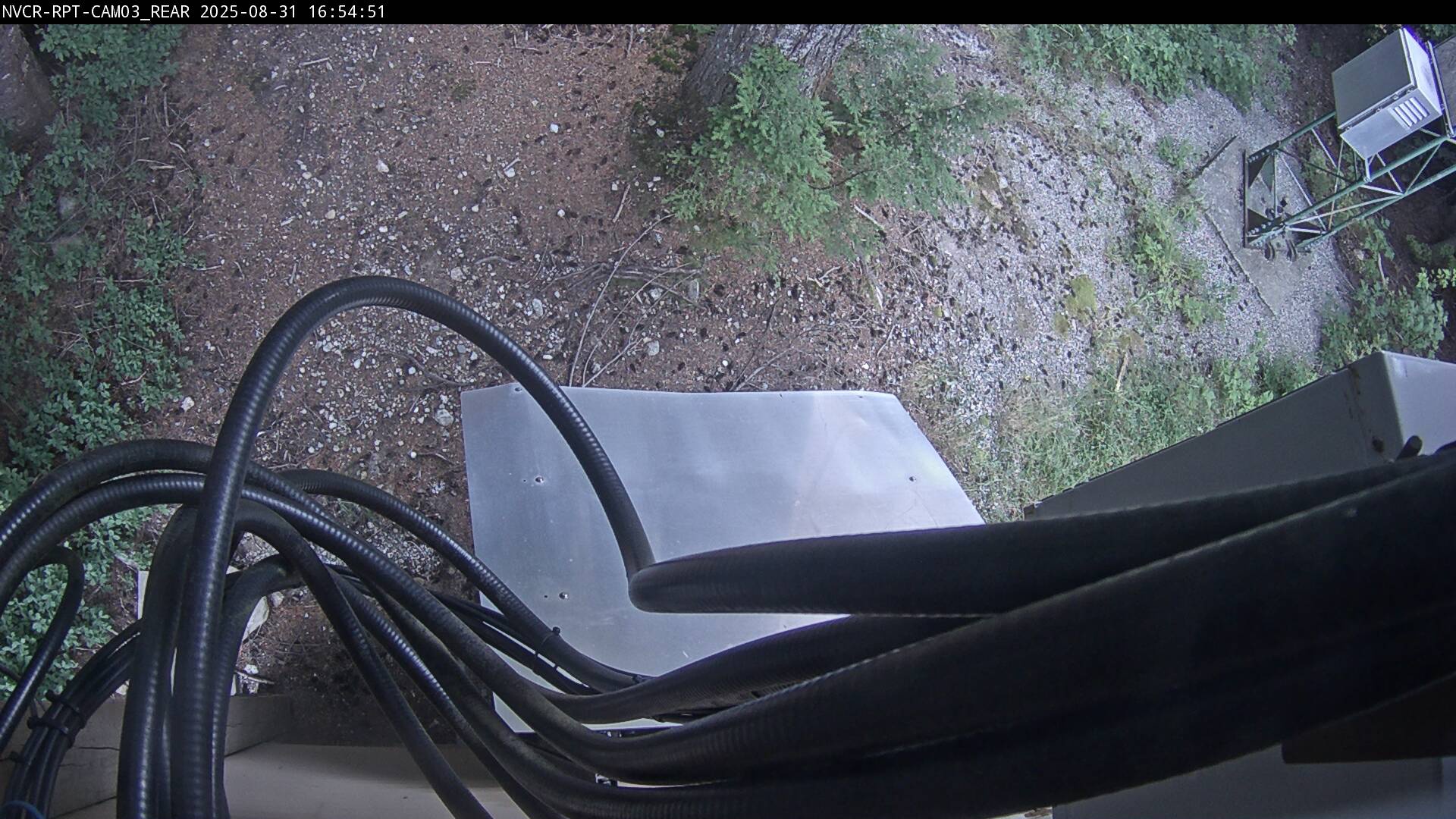 Web Cam History Image - 44