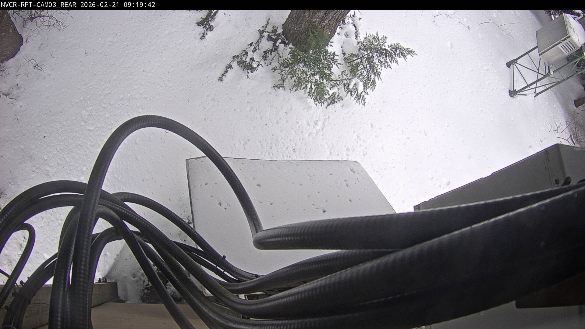 Web Cam History Image - 44