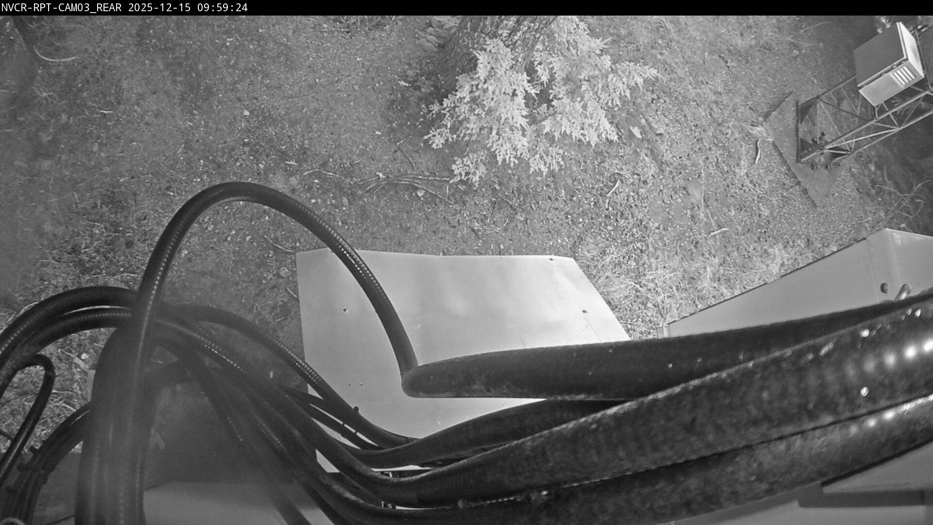 Web Cam History Image - 431