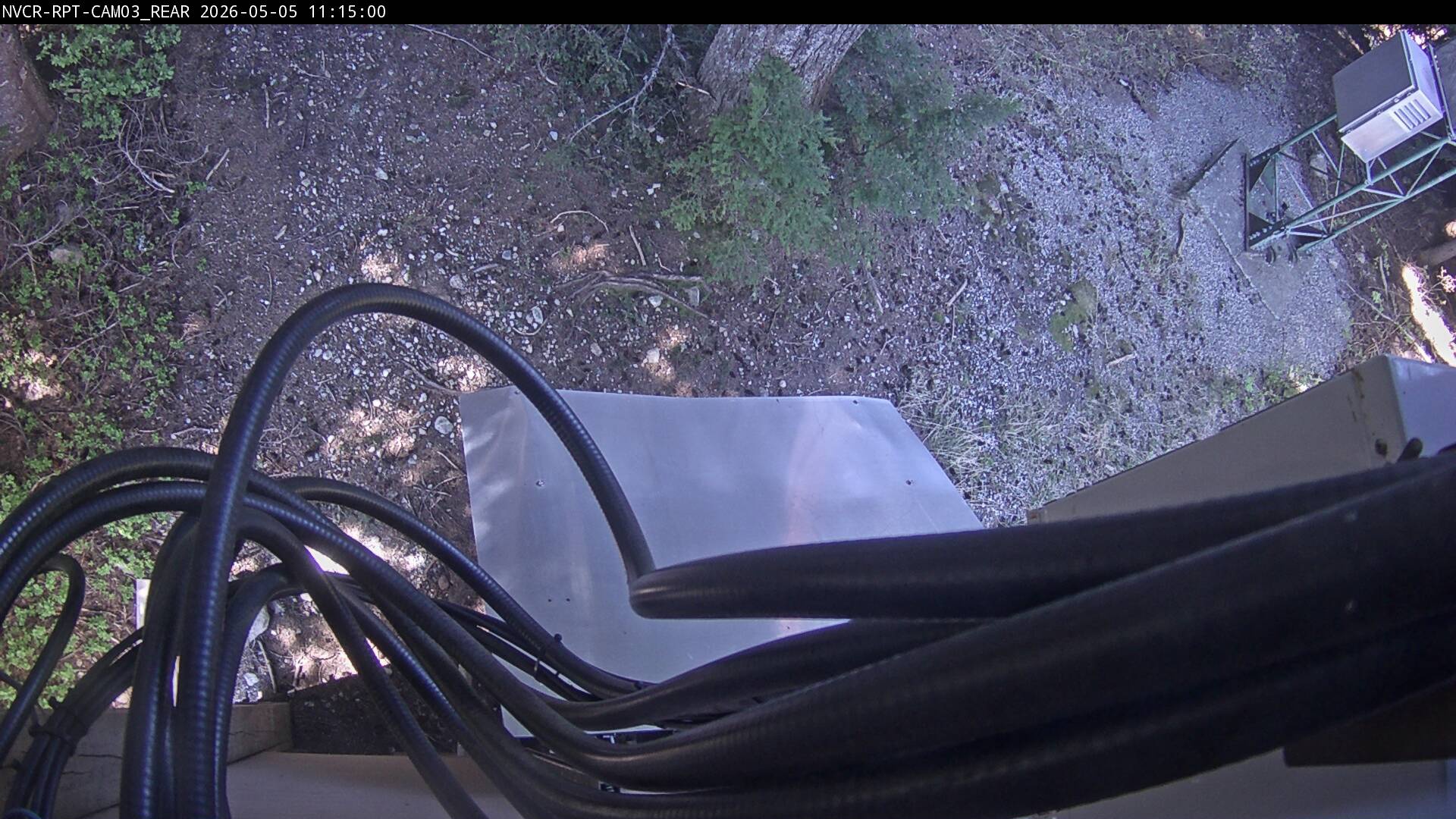 Web Cam History Image - 431