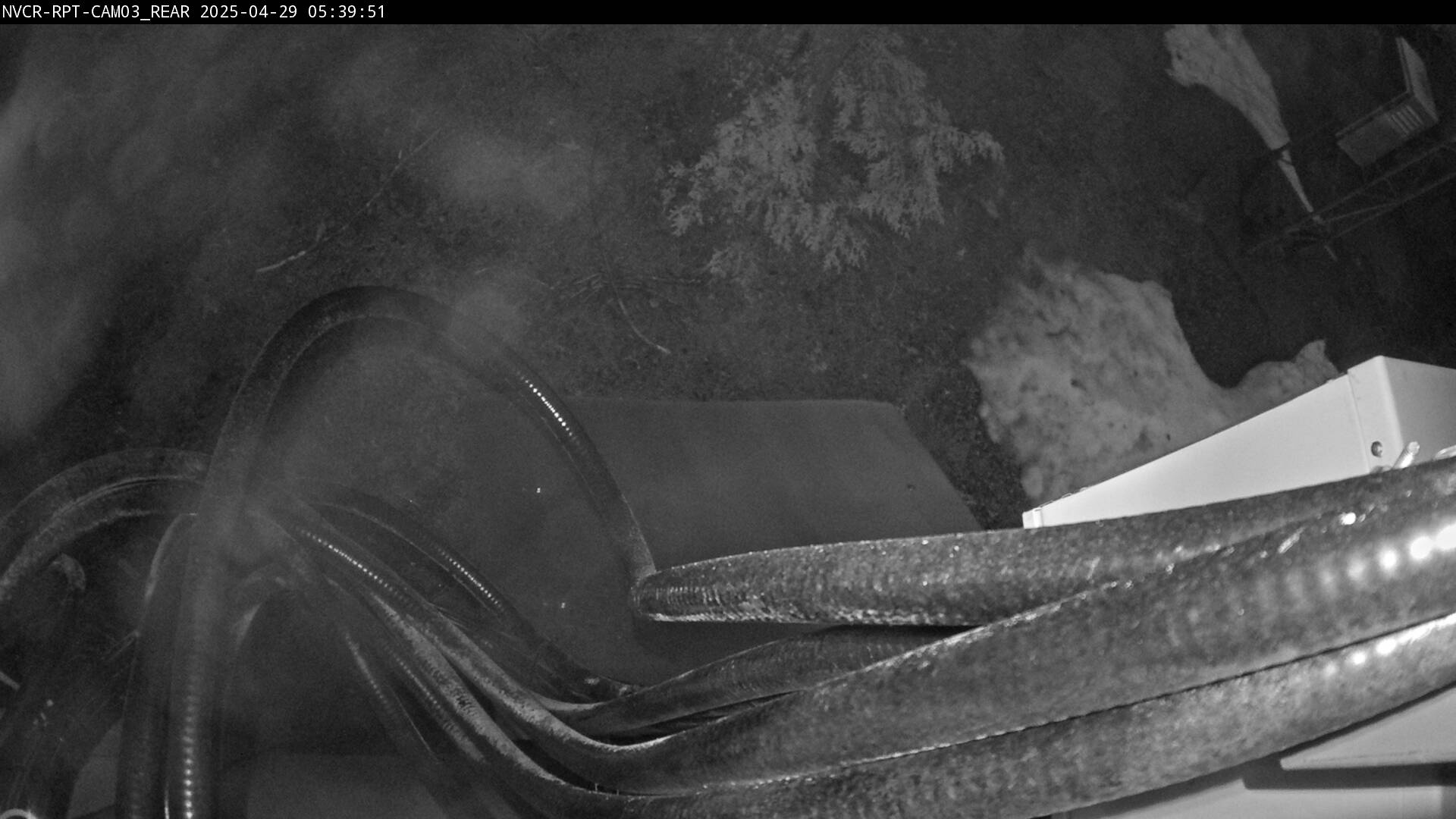 Web Cam History Image - 435