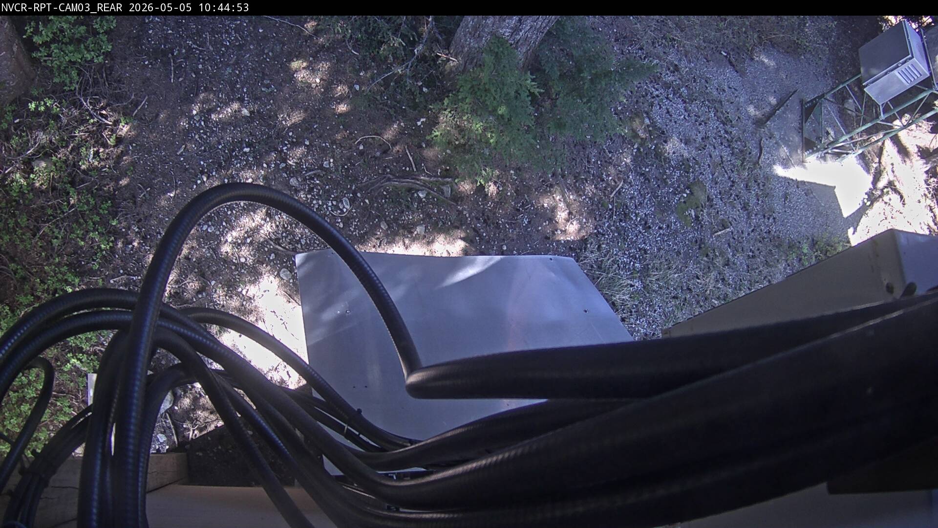 Web Cam History Image - 436