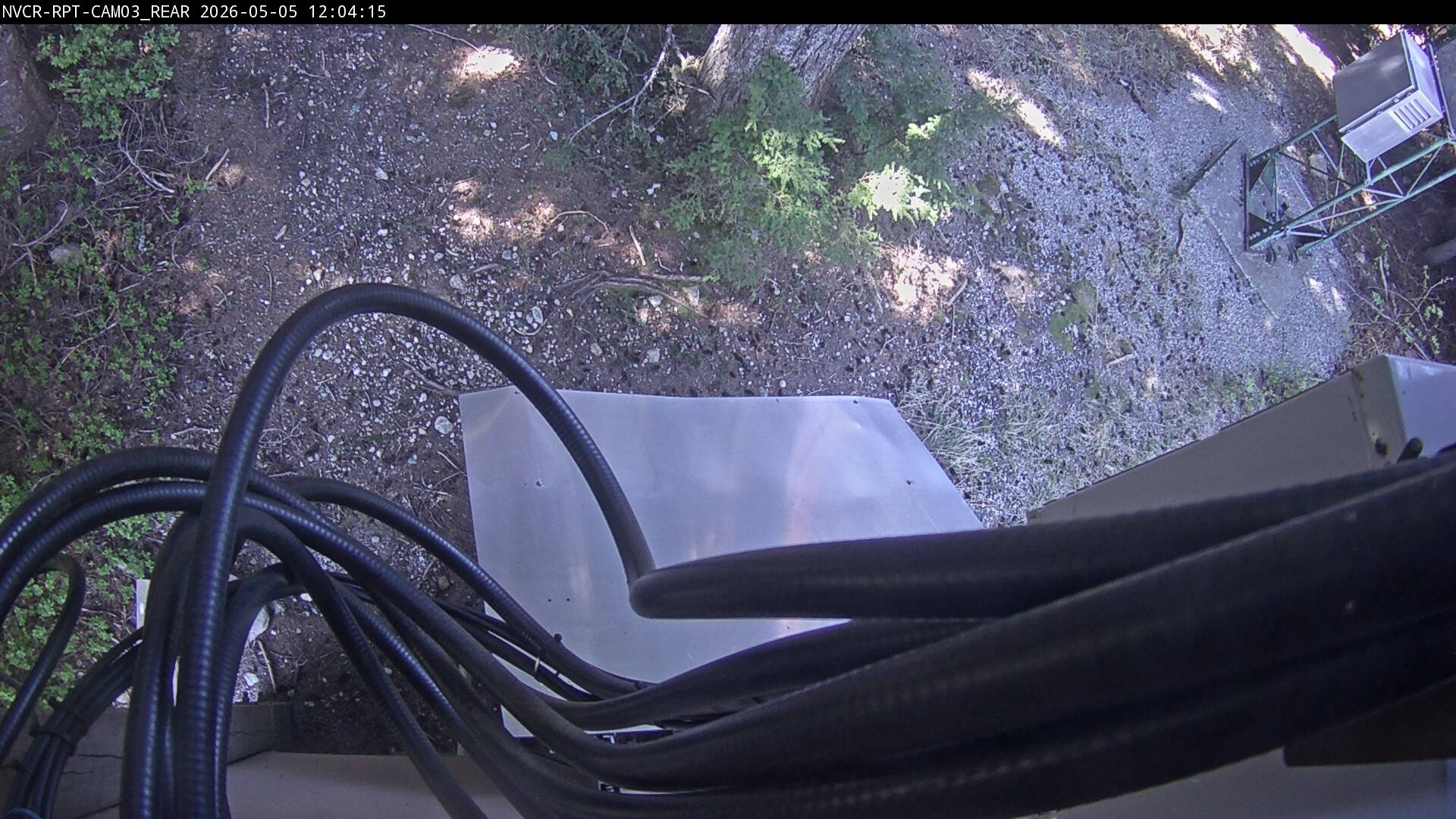 Web Cam History Image - 436