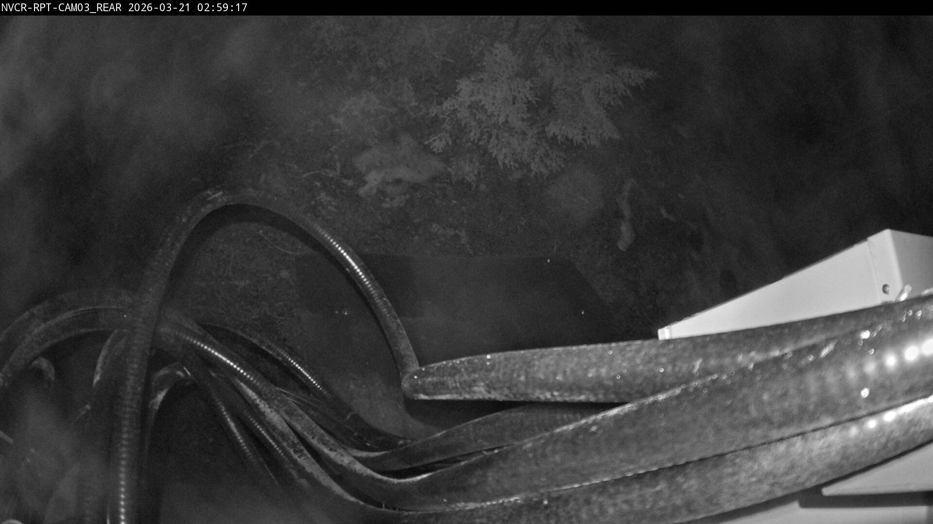 Web Cam History Image - 440