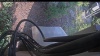 Web Cam Image - Thu, 08/06/2026 6:19am PDT
