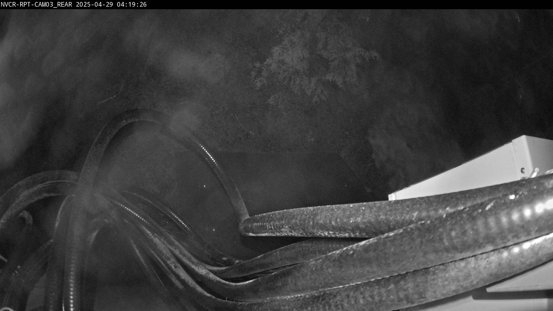 Web Cam History Image - 441