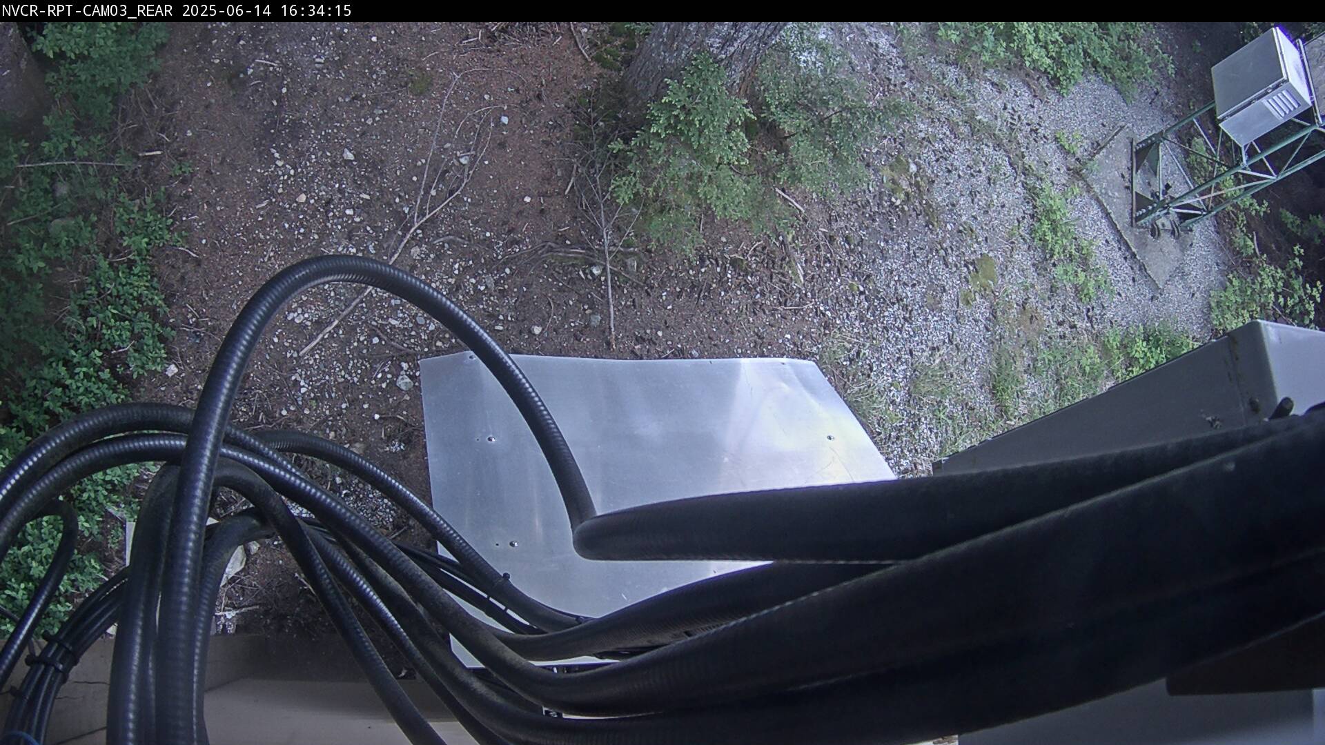 Web Cam History Image - 441