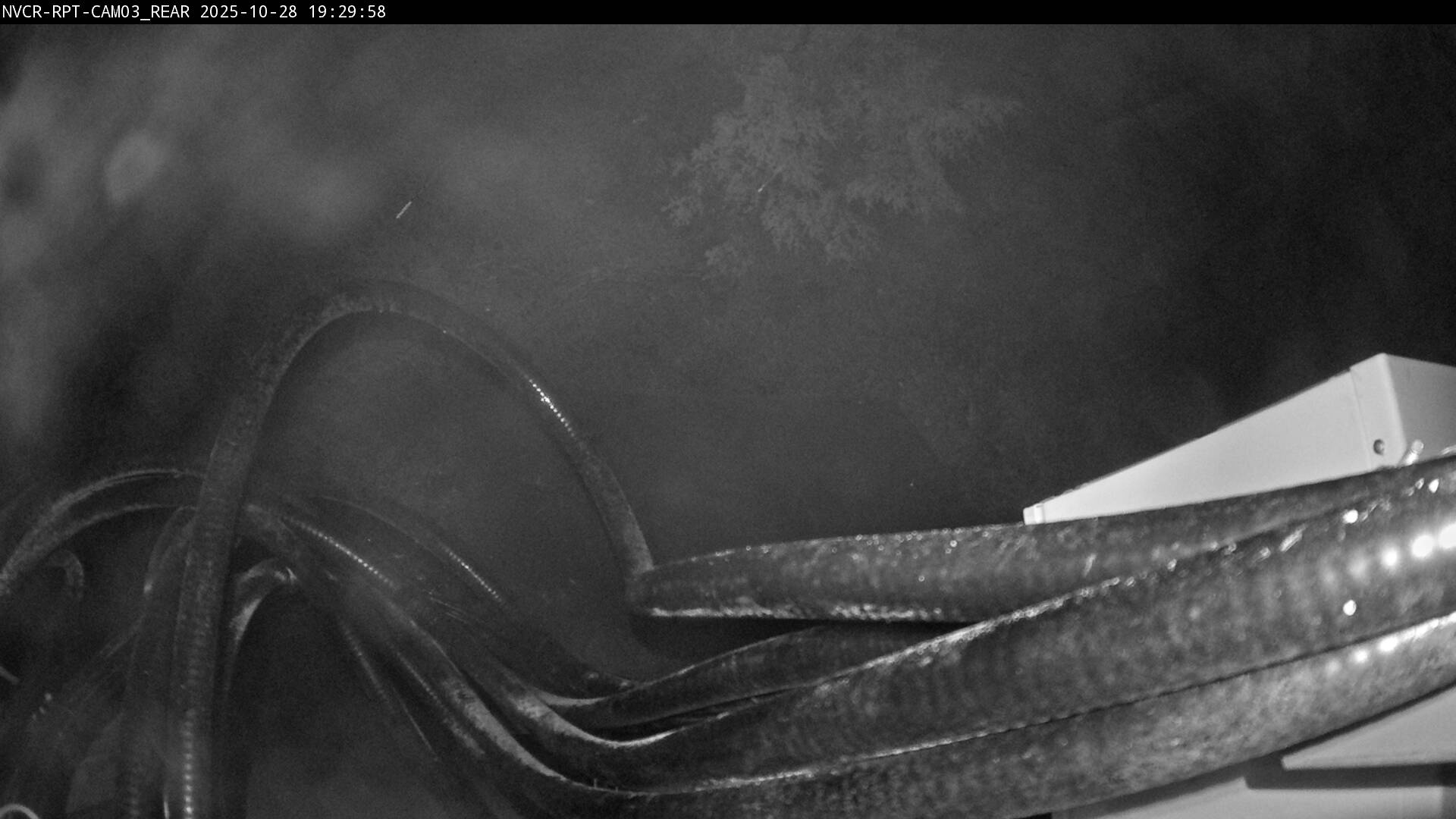 Web Cam History Image - 441