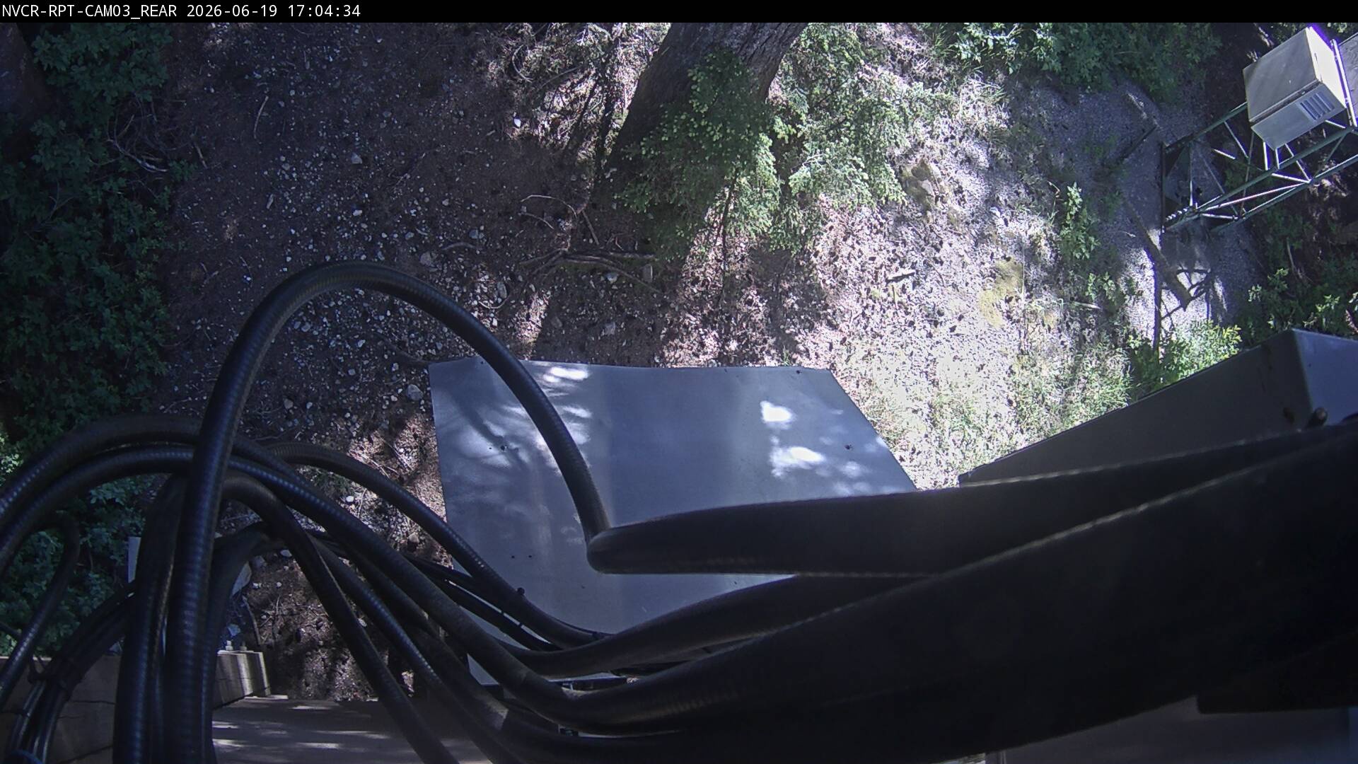 Web Cam History Image - 441