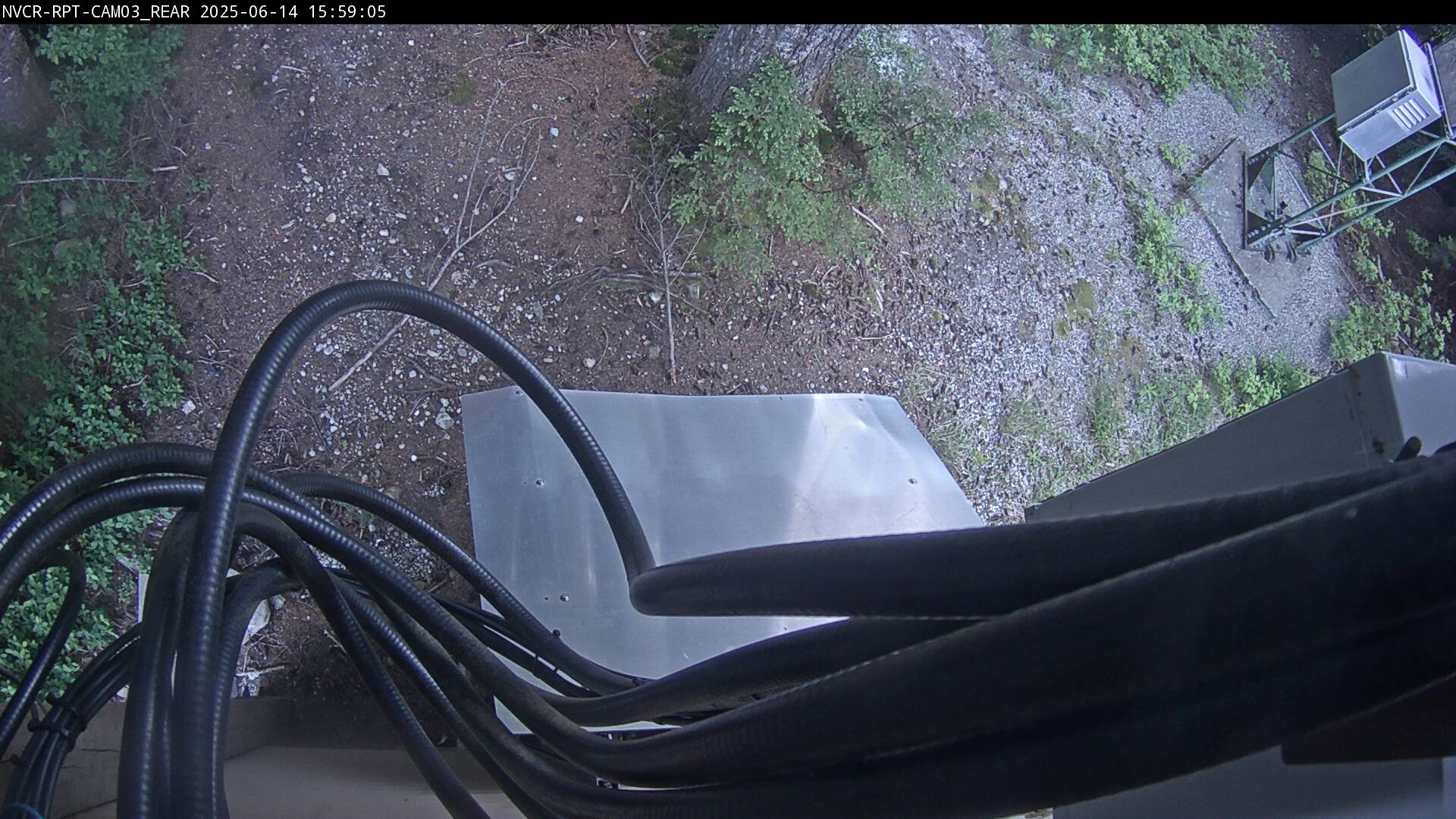 Web Cam History Image - 442