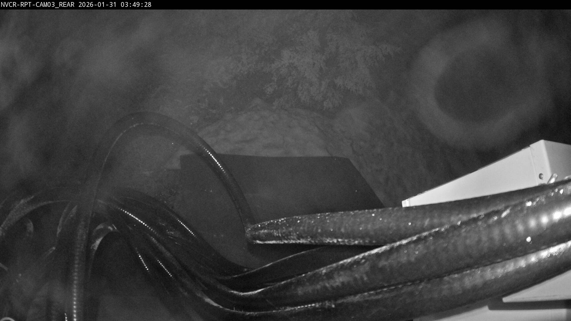 Web Cam History Image - 442