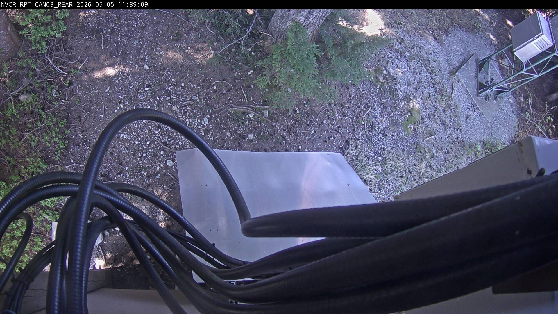 Web Cam History Image - 442