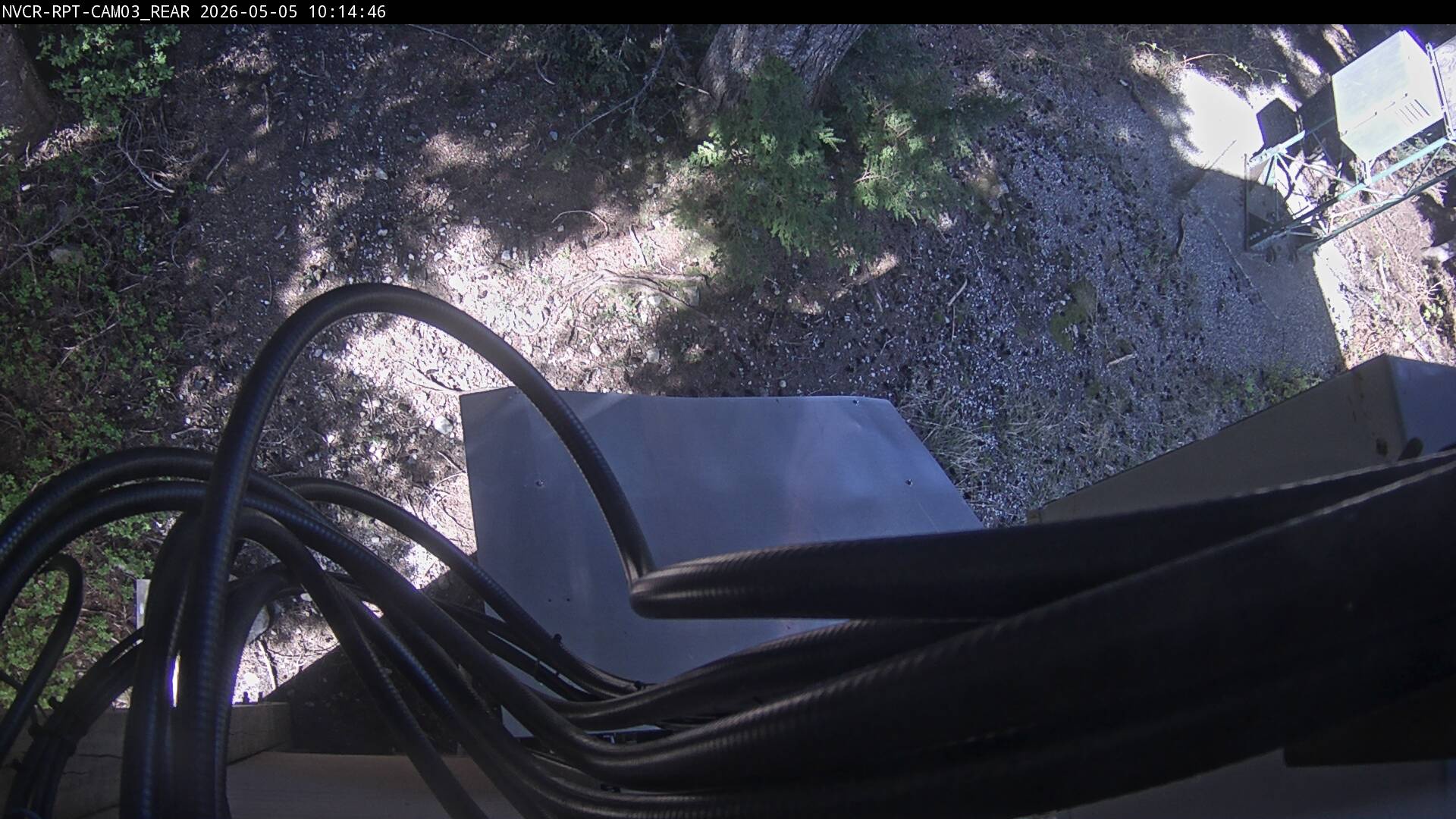 Web Cam History Image - 443