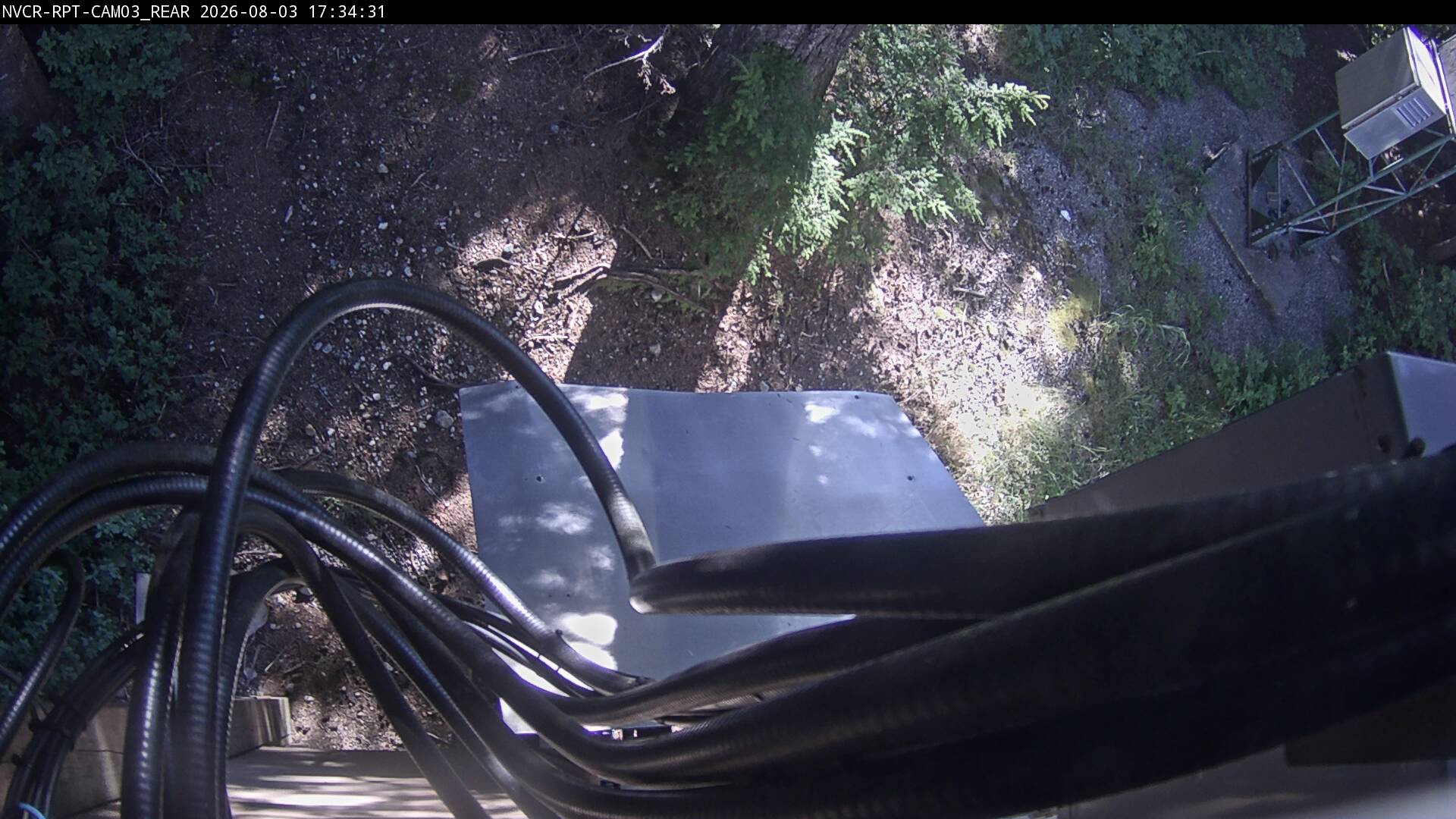 Web Cam History Image - 443