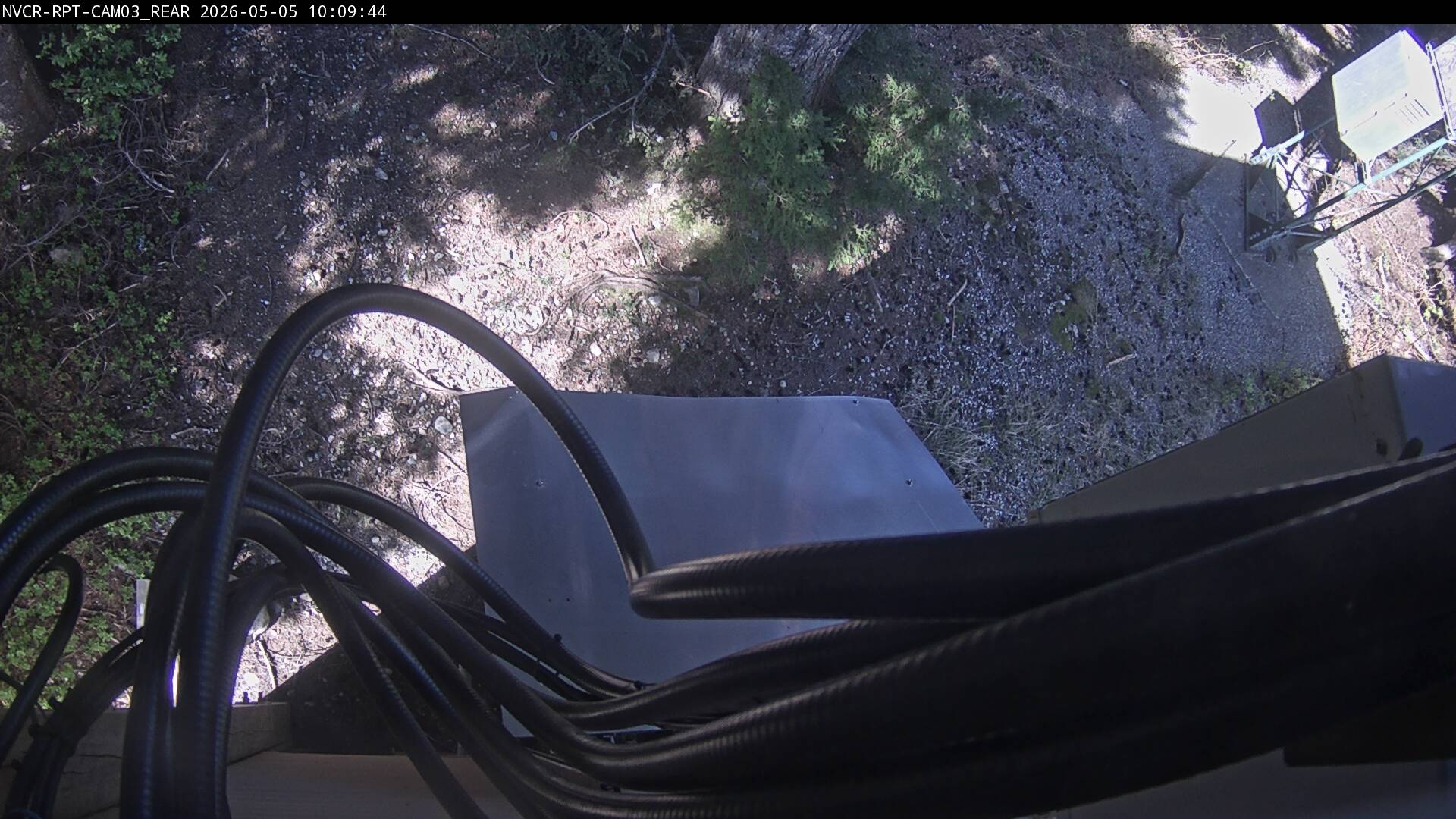Web Cam History Image - 444
