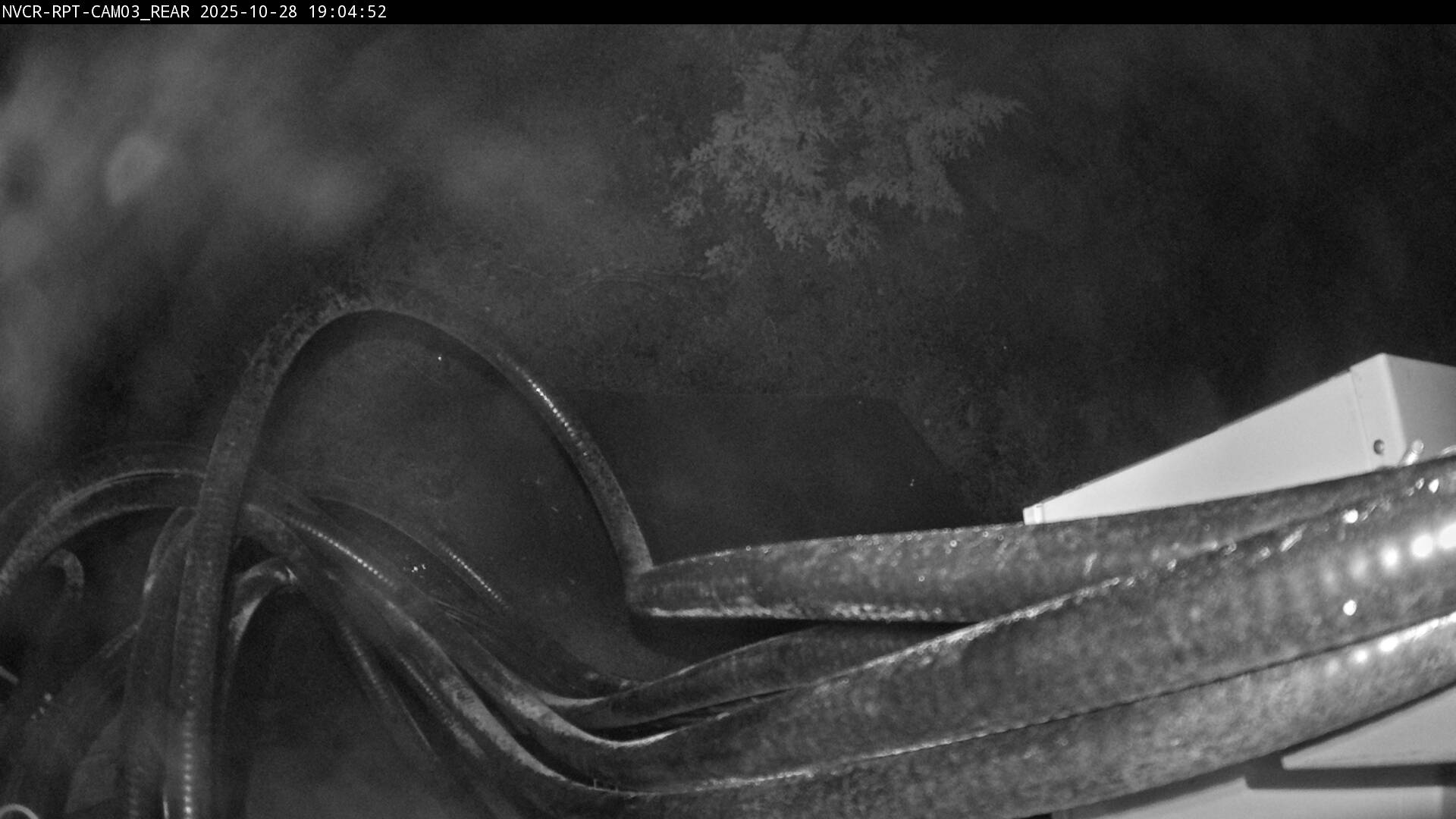 Web Cam History Image - 445