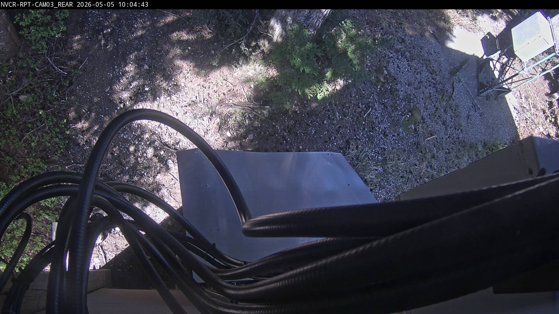Web Cam History Image - 445