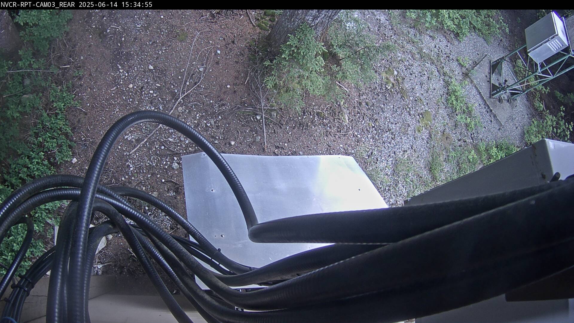 Web Cam History Image - 446