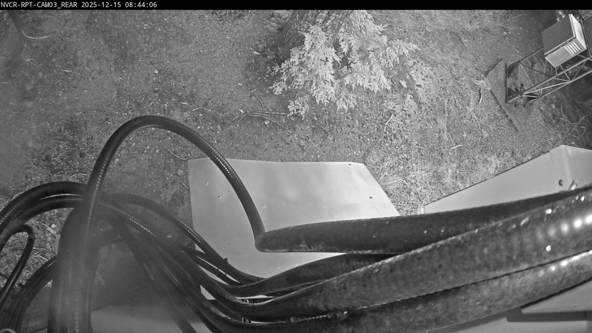 Web Cam History Image - 446