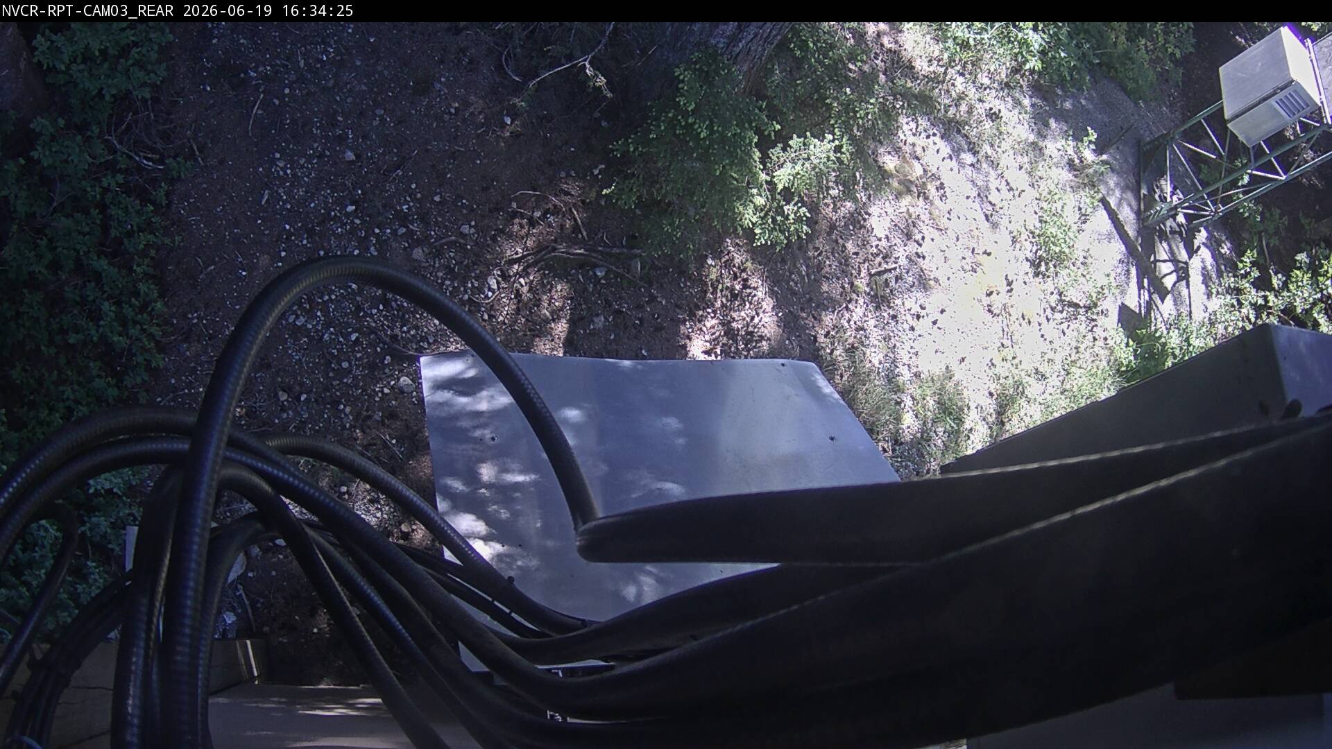 Web Cam History Image - 447