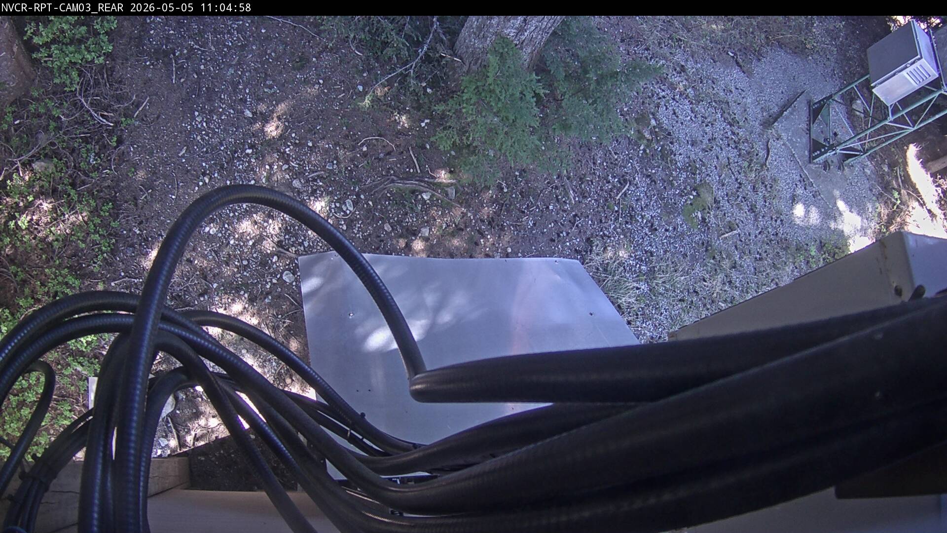 Web Cam History Image - 448