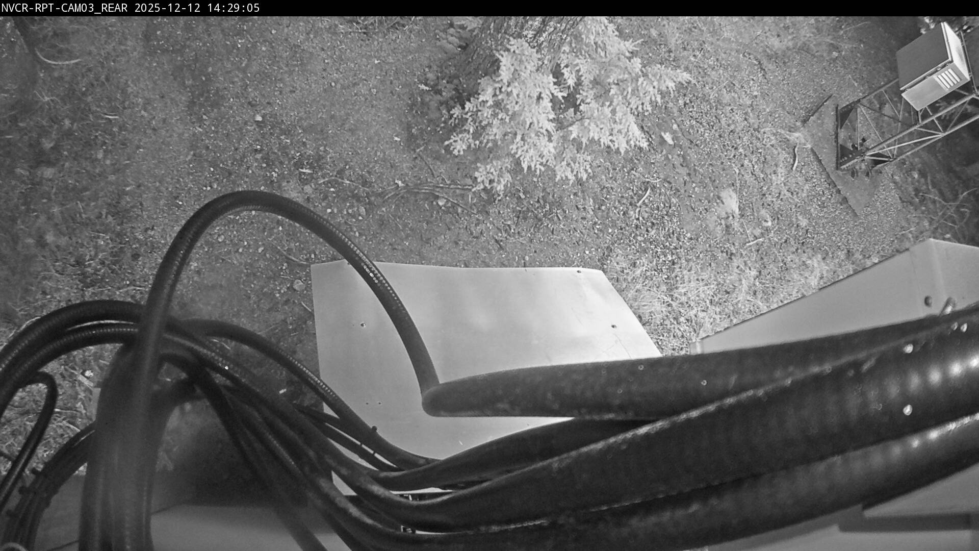 Web Cam History Image - 449