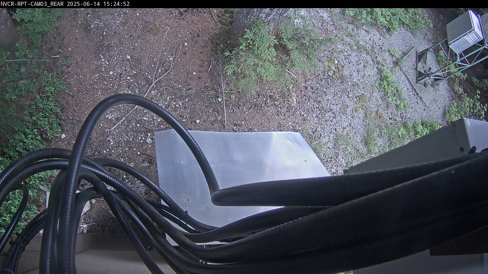 Web Cam History Image - 450