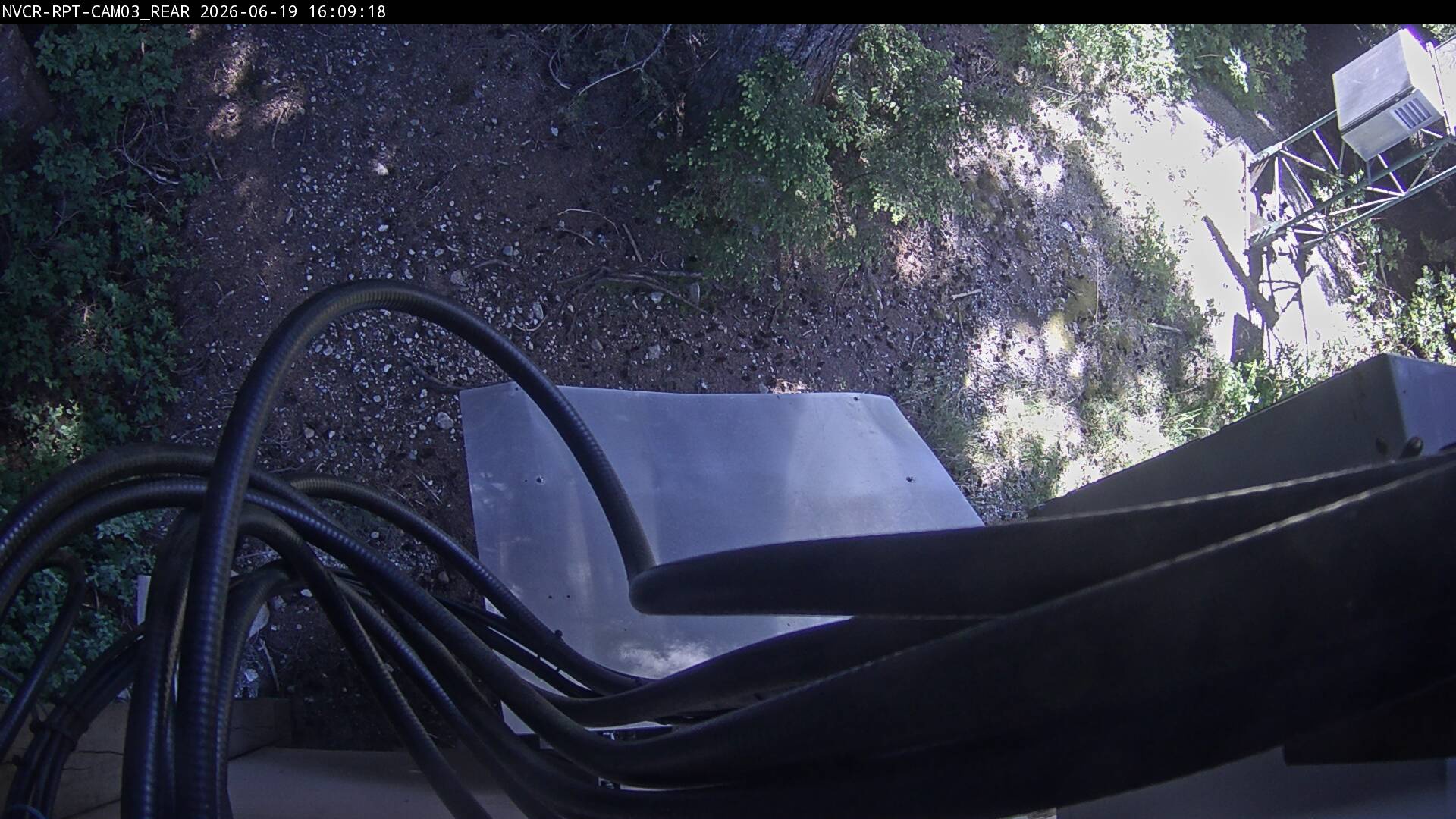 Web Cam History Image - 450