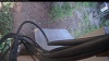 Web Cam Image - Wed, 07/22/2026 4:24am PDT