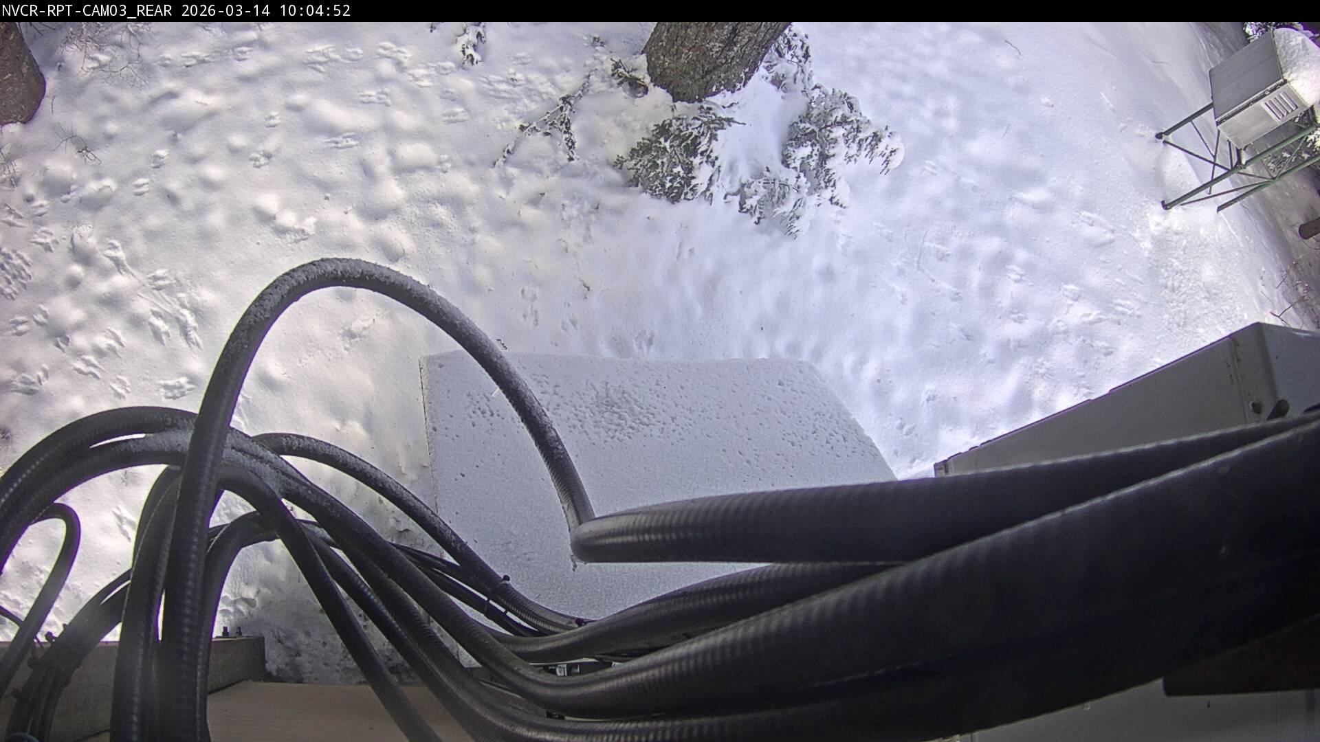 Web Cam History Image - 46