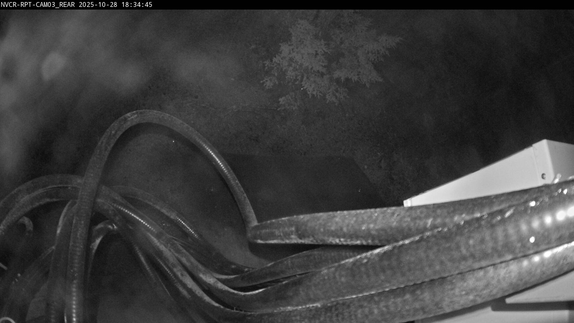 Web Cam History Image - 452