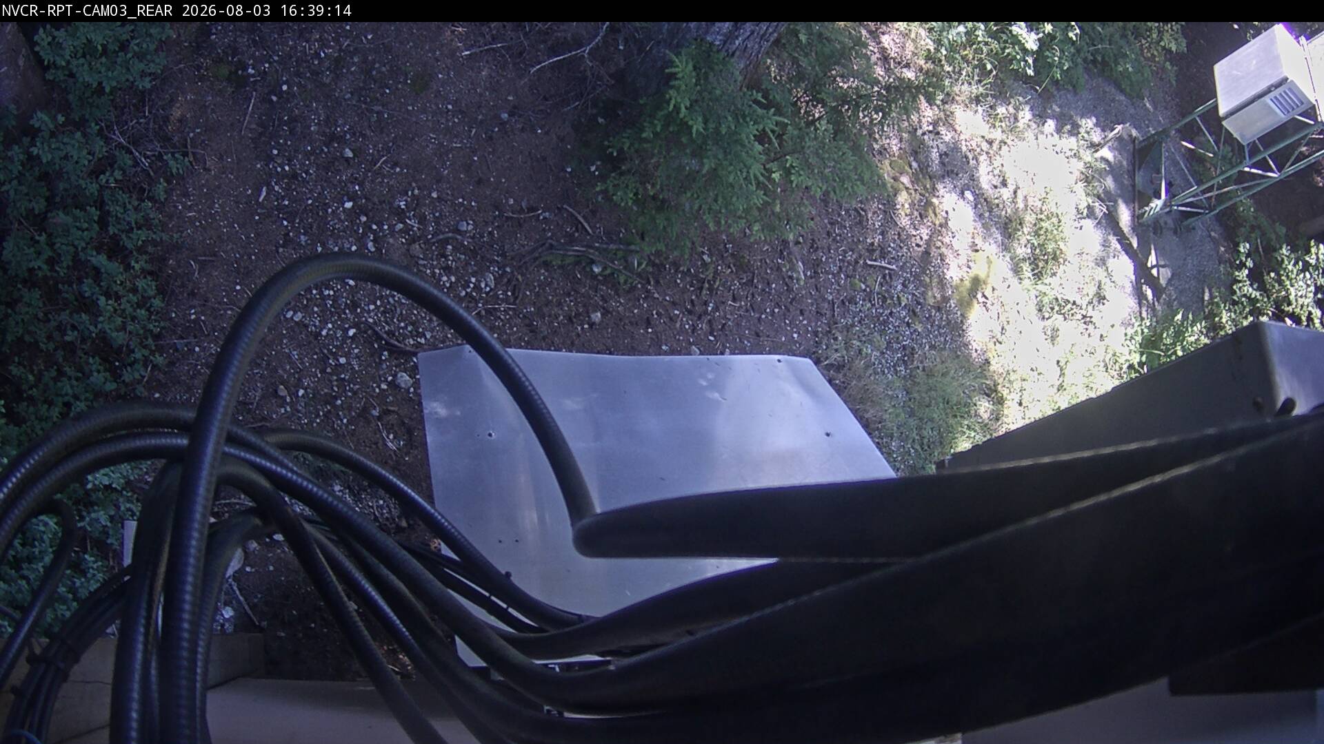 Web Cam History Image - 454