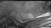 Web Cam Image - Fri, 08/29/2025 7:14am PDT