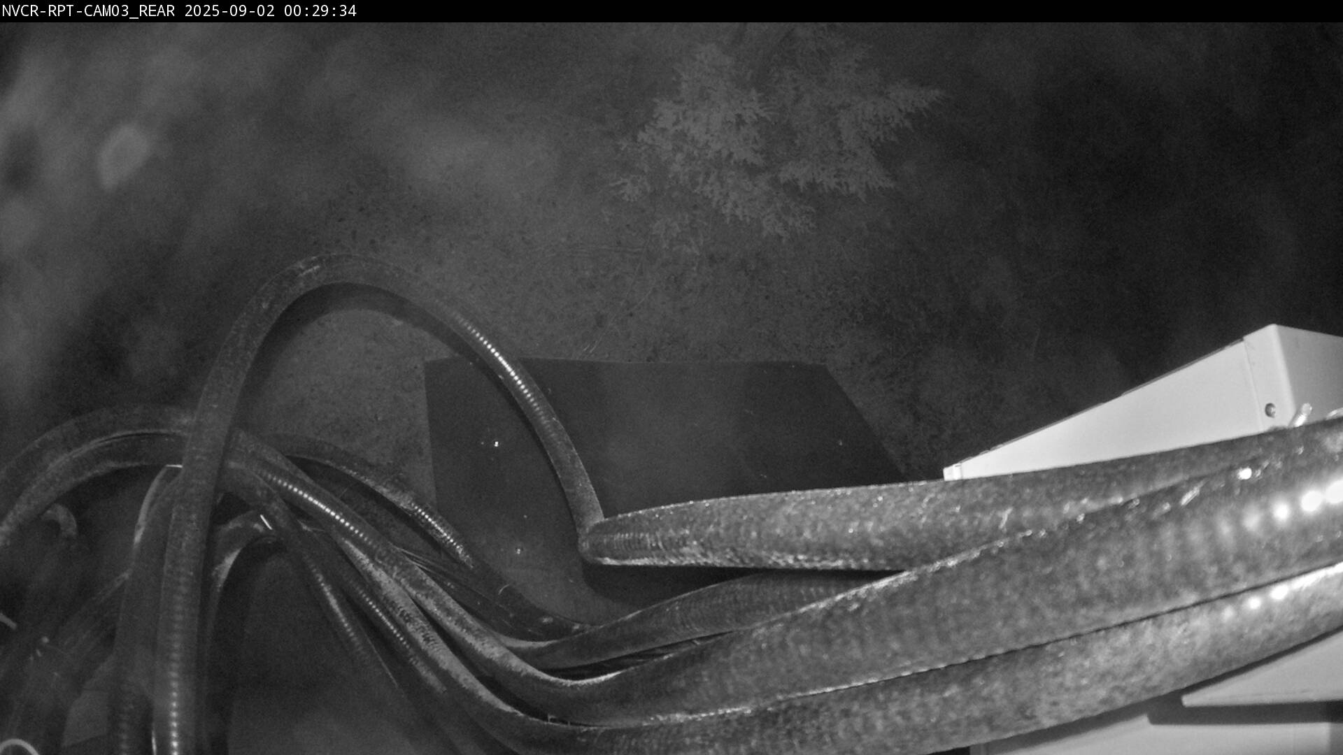 Web Cam History Image - 456