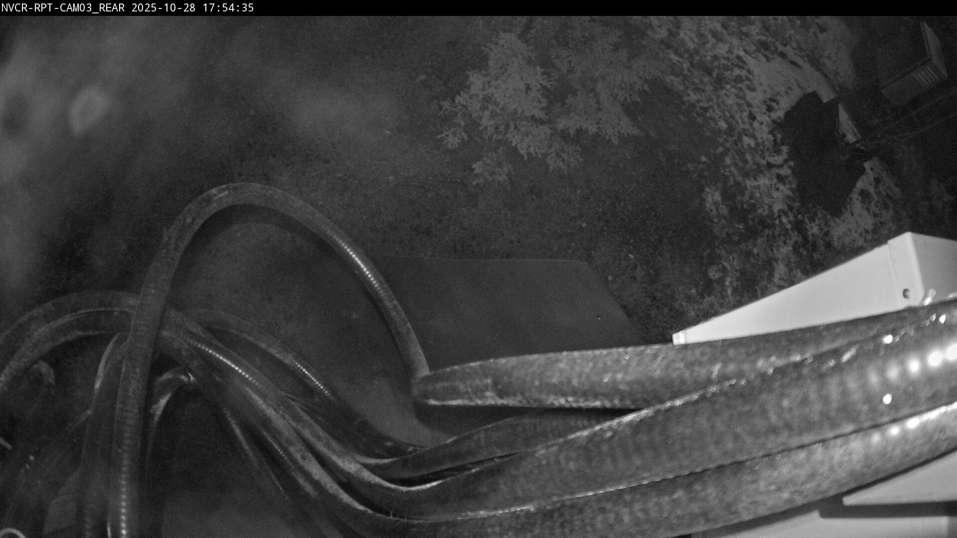 Web Cam History Image - 461