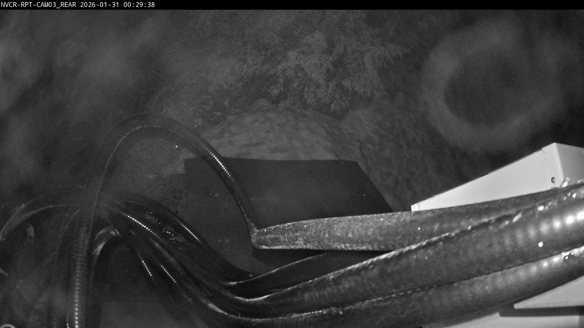 Web Cam History Image - 461